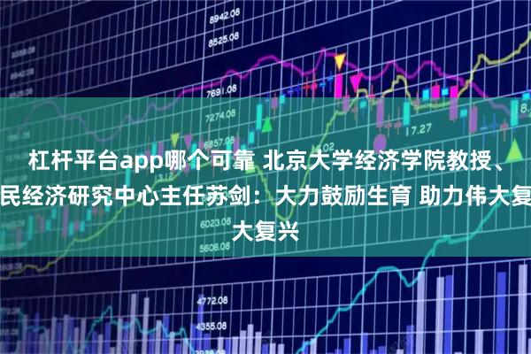 杠杆平台app哪个可靠 北京大学经济学院教授、国民经济研究中心主任苏剑：大力鼓励生育 助力伟大复兴