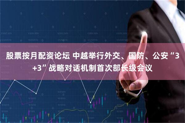 股票按月配资论坛 中越举行外交、国防、公安“3+3”战略对话机制首次部长级会议